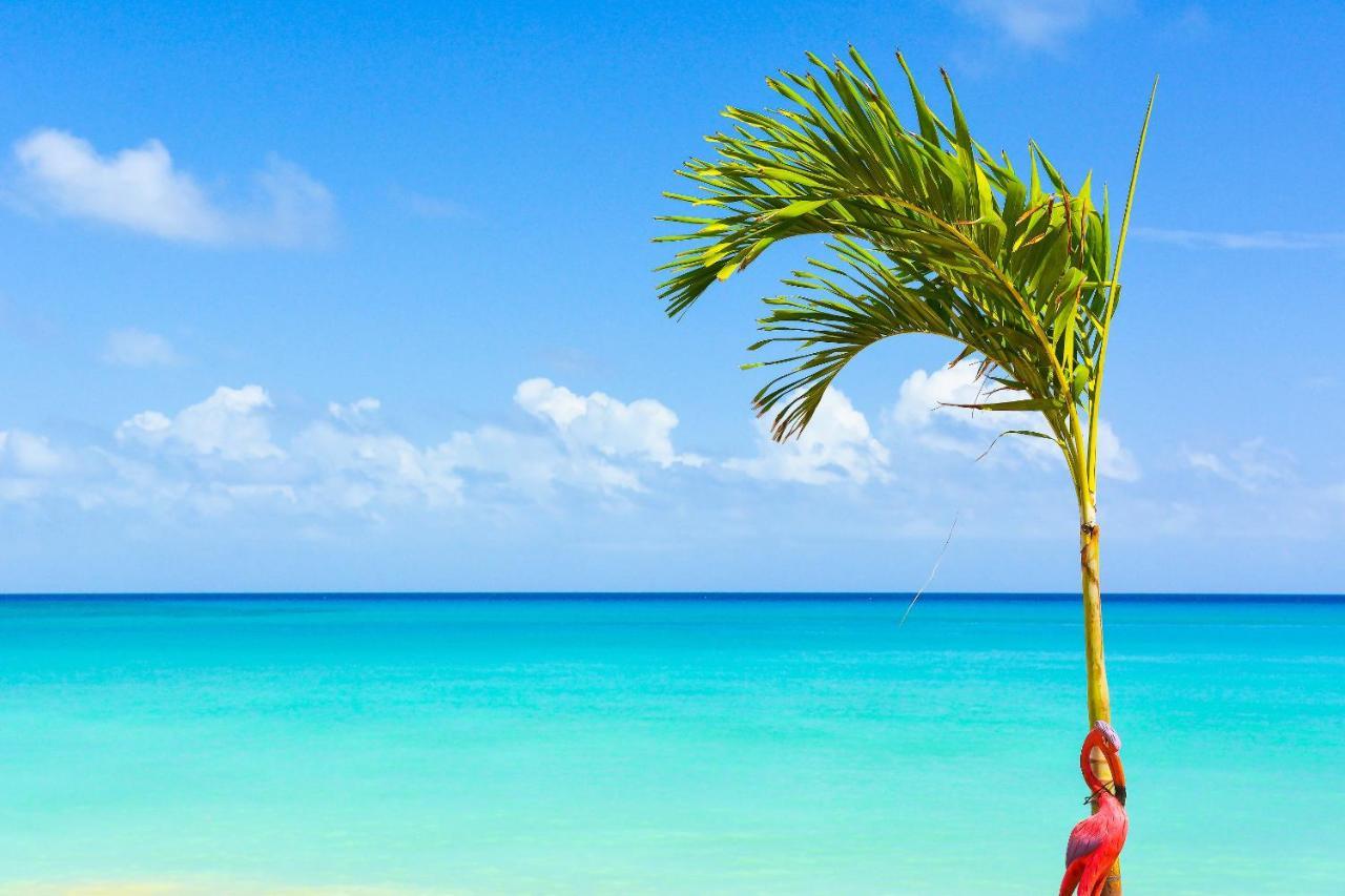 Kaz Kreol Beach Hotel Ocho Rios Exterior foto